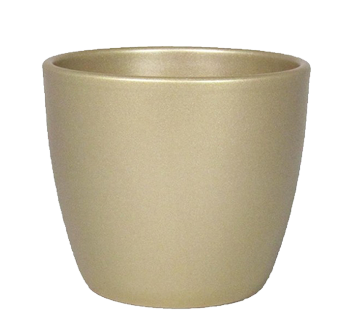 Boule goud 10